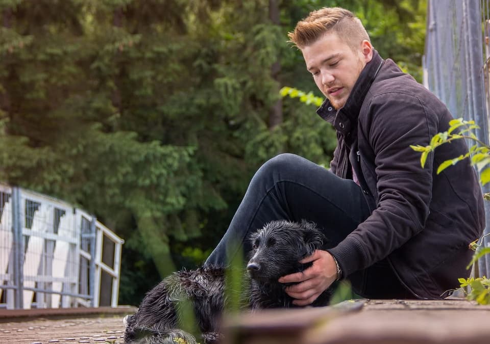 An owner petting his wet dog on a bridge in the Ardennes