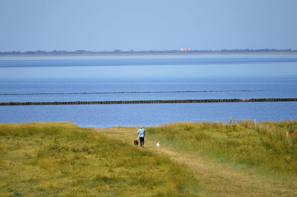 Mensen wandelen met honden langs het water